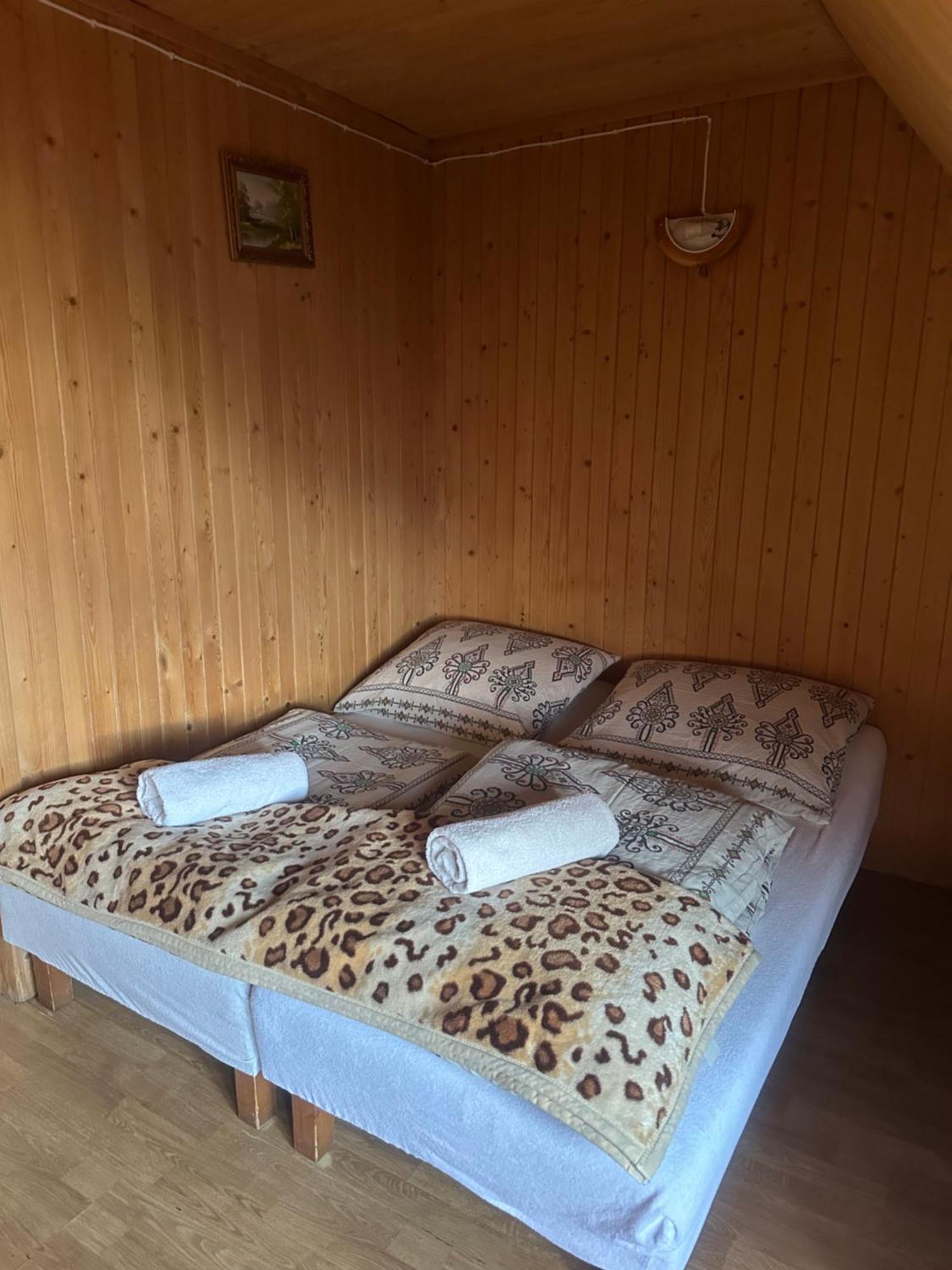 Pokoje Goscinne U Zofii Буковина-Татшаньска Экстерьер фото
